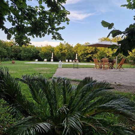 Agriturismo Terre Di Nelio Vignanello ภายนอก รูปภาพ