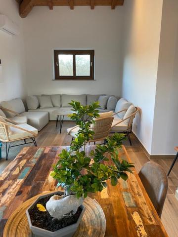 Agriturismo Terre Di Nelio Vignanello ภายนอก รูปภาพ